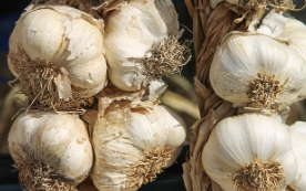 마늘 보관방법