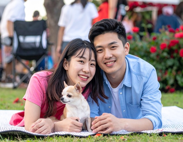 방문 전 체크리스트