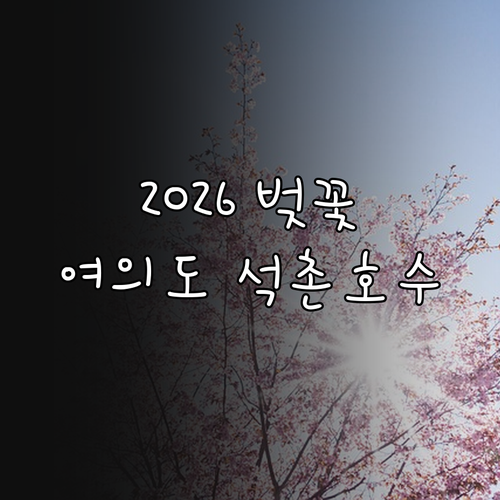 2026년 벚꽃 나들이 정보 서울 여..
