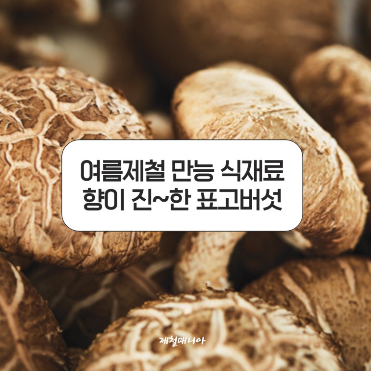 표고버섯 솥밥