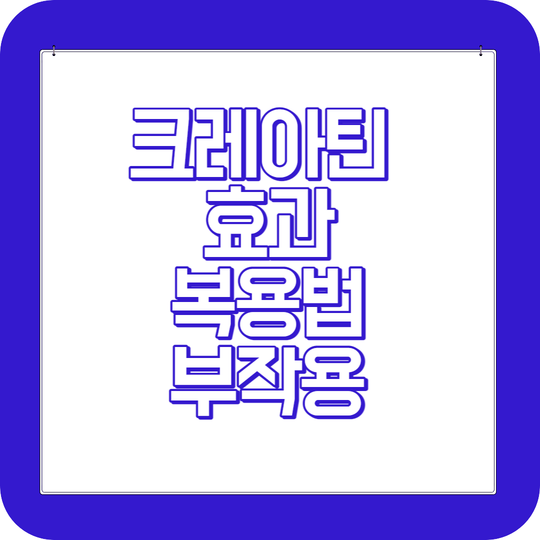 크레아틴 효과 복용법 부작용