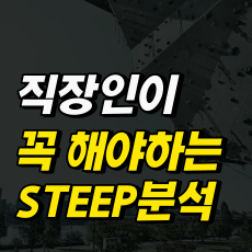 외부환경분석 할 때 꼭 해야하는 STEEP분석 한번에 정리하기