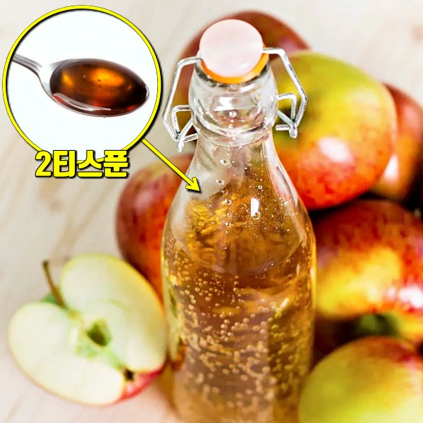 간헐적 단식 식단표 필수 식욕억제 음식 사과식초,팁줌