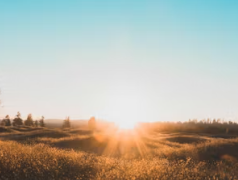 비타민d 하루 권장량 먹는법