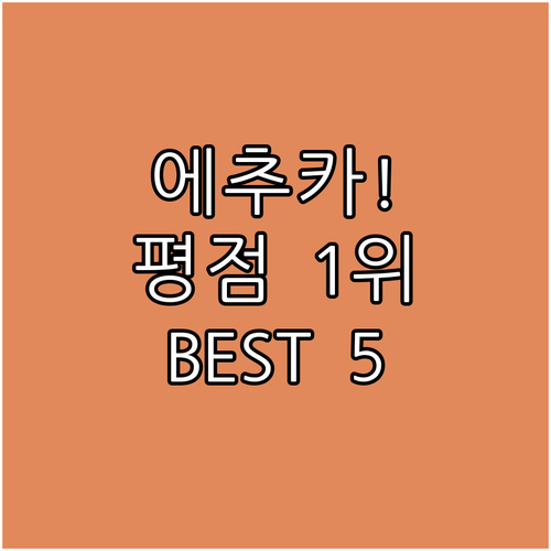 에추카 자유여행객이 극찬한 평점 좋은..