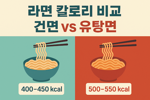 라면 칼로리 비교 인포그래픽 (건면 vs 유탕면)