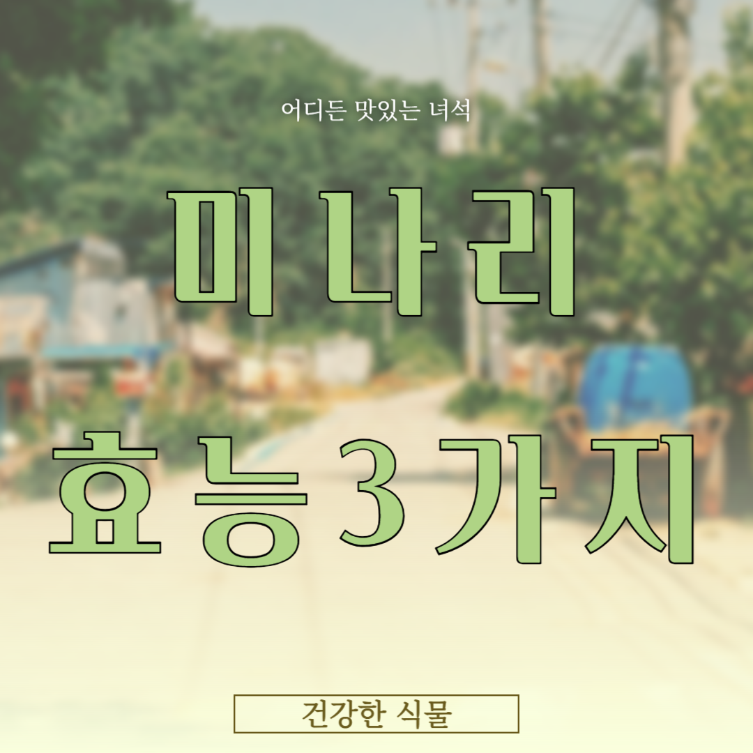 미나리 효능 3가지 (미나리 삼겹살 , 미나리 무침 , 미나리 김치 , 미나리 즙)