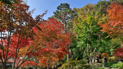 단풍명소_화담숲_하경정원