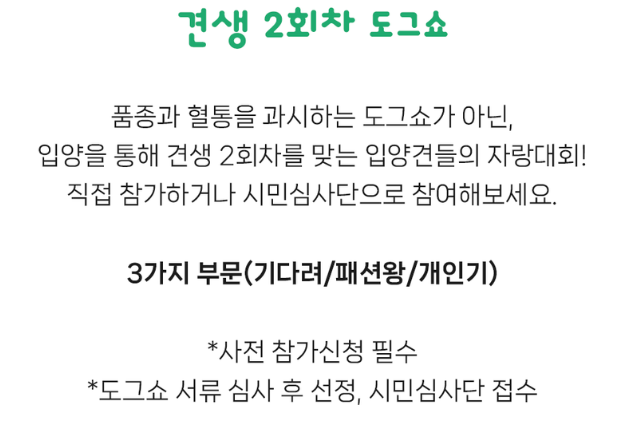 견생 2회차 도그쇼