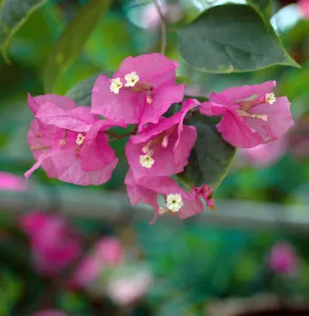 손자병법 작전편 전쟁 국력 역사_29