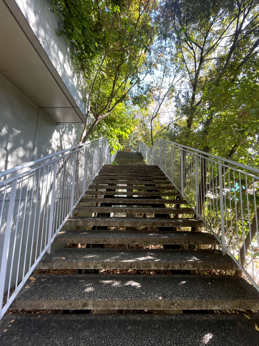 아크로스 후쿠오카 옥상계단1