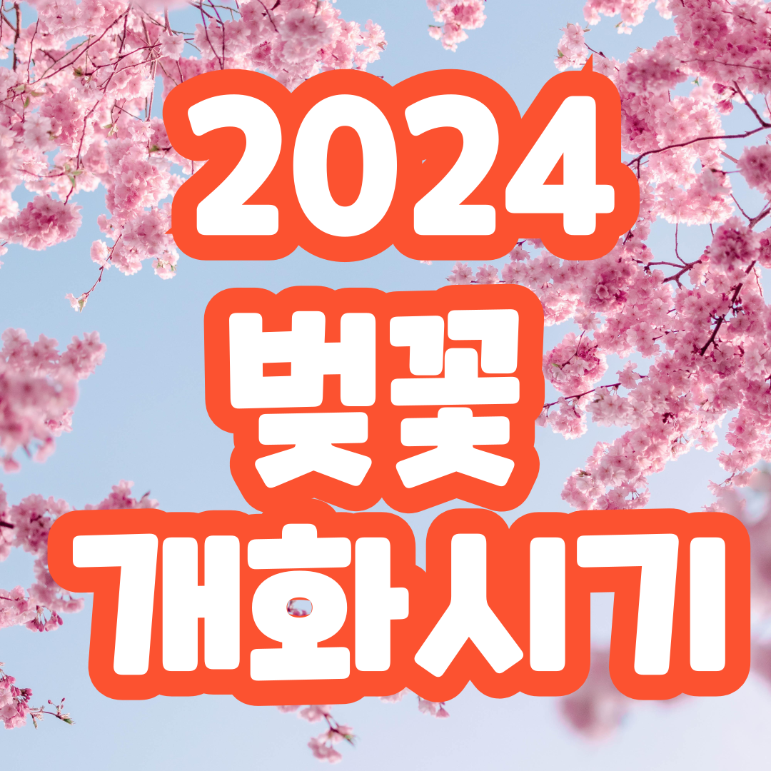 벚꽃개화시기 2024