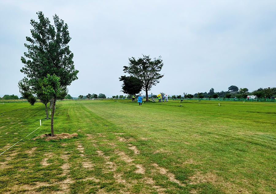 경상남도 창원 대산파크골프장 (대산면 파크골프장 대산드림파크골프장)