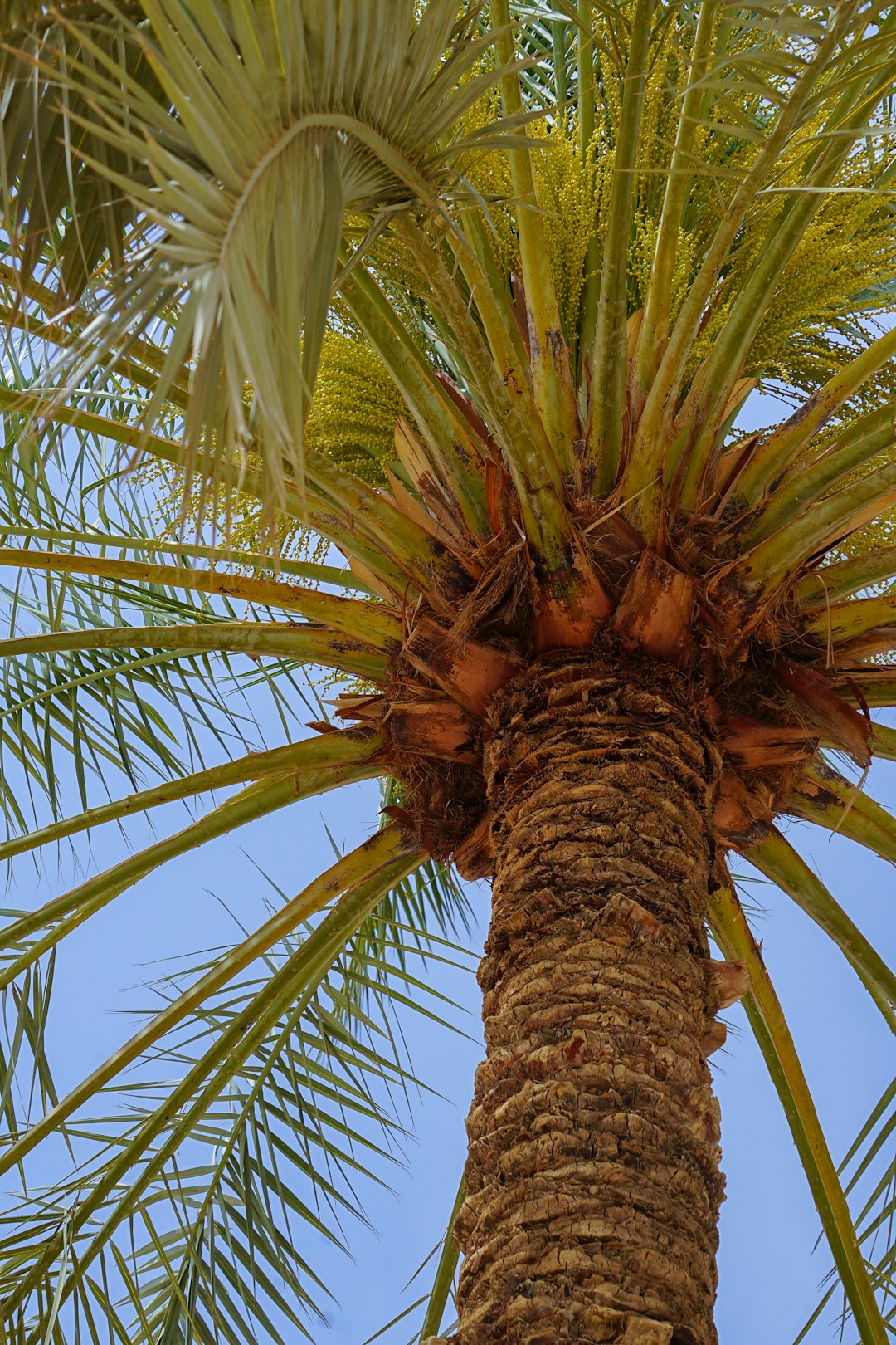 LIG넥스원 중동 수주 실적 분석: 방산업계의 새로운 전환점 관련 이미지 1
