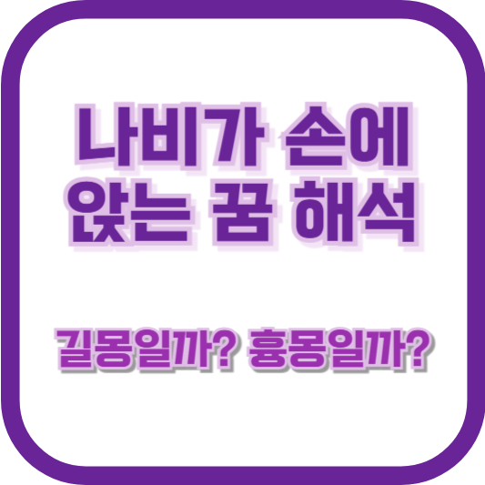 나비가 손에 앉는 꿈 해석, 길몽일까? 흉몽일까?