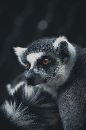 가족관계증명서 인터넷발급