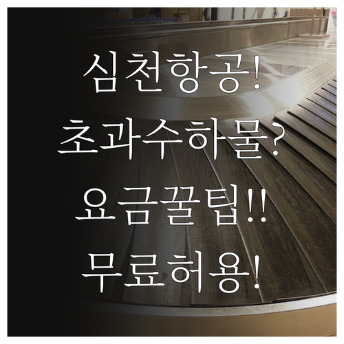 심천항공 초과 수하물 요금 아끼는 팁..