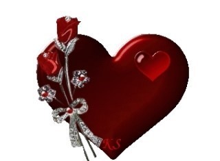 부자와 가난한 사람들의 건강관리 차이점: 경제적 격차가 만드는 웰빙의 차이