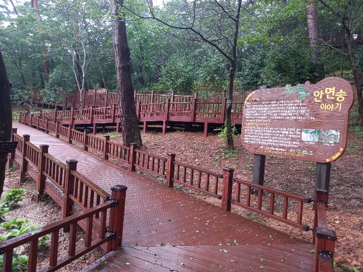 안면도수목원 가이드 : 입장료 할인부터 예약까지