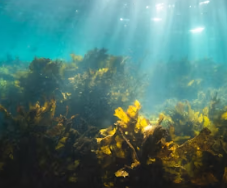 골다공증에 좋은 음식 영양제 식단