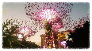 슈퍼트리 그로브