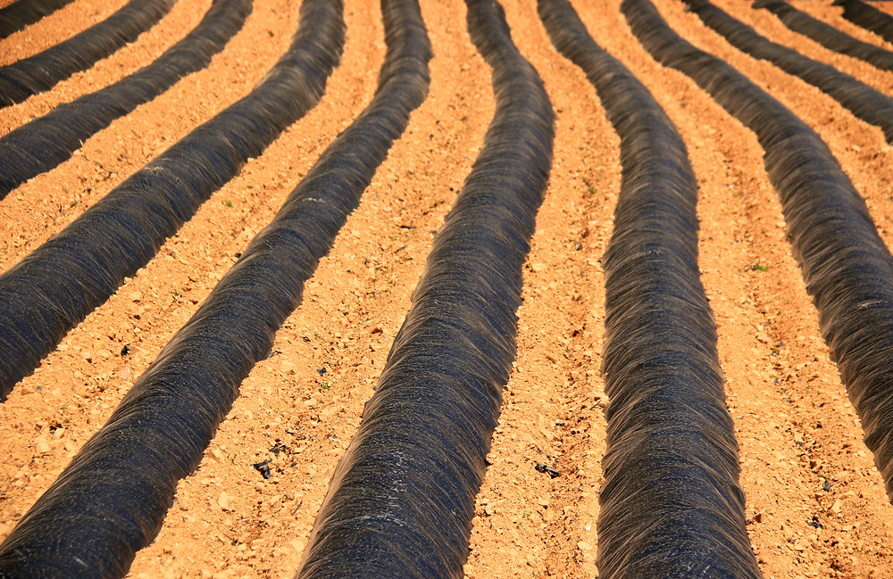 농지 임대차 계약서 무료양식 한글 hwp