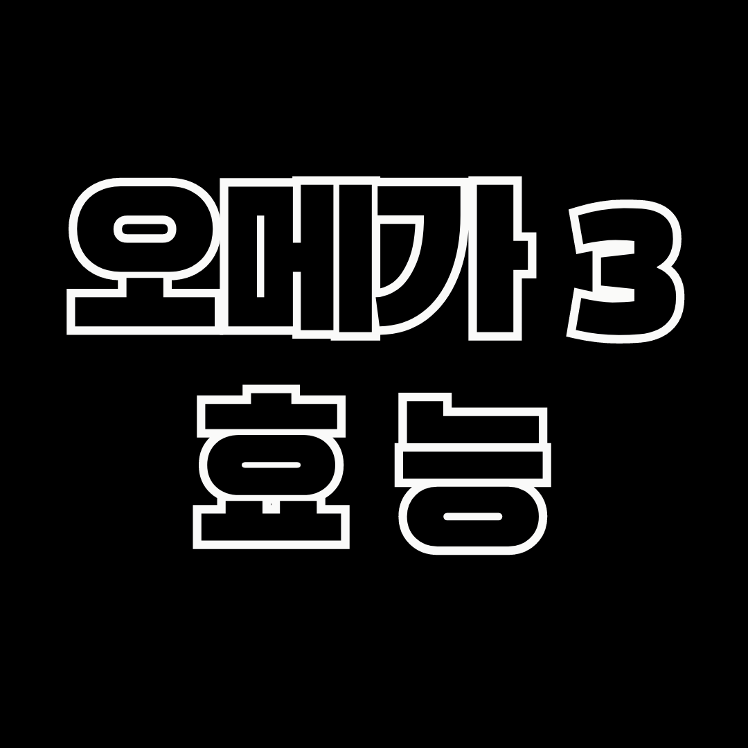 오메가 3