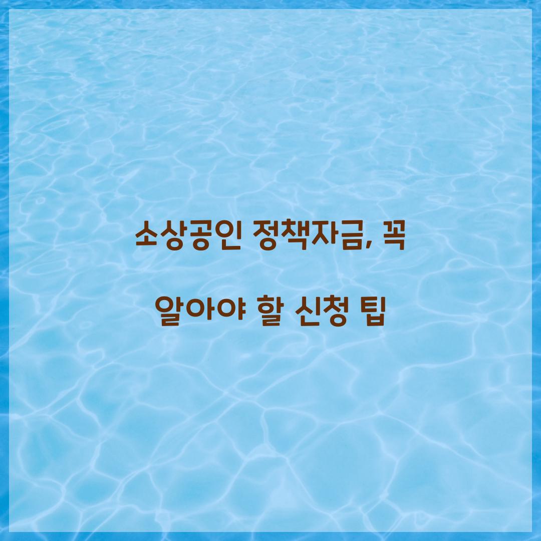 소상공인 정책자금