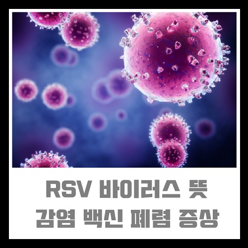 RSV 바이러스 뜻 감염 백신 폐렴 증상 예방접종