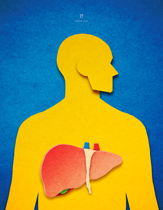 사람 포스터에 간 부분을 표시한 사진