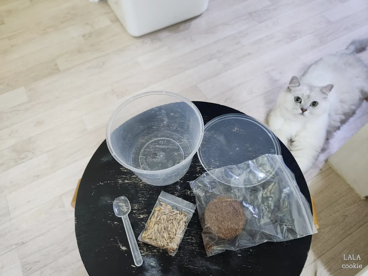 고양이-귀리-추천-그루루-구성품
