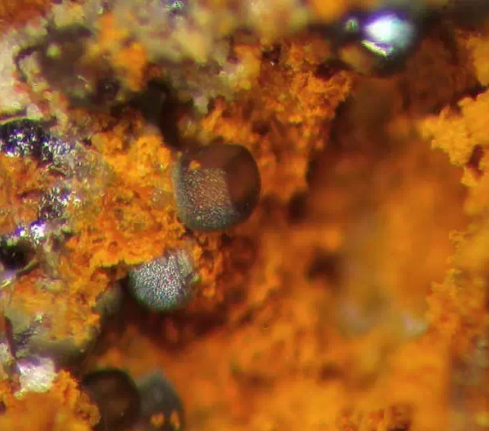 납철반(鉛鐵礬&amp;#44; Plumbojarosite)