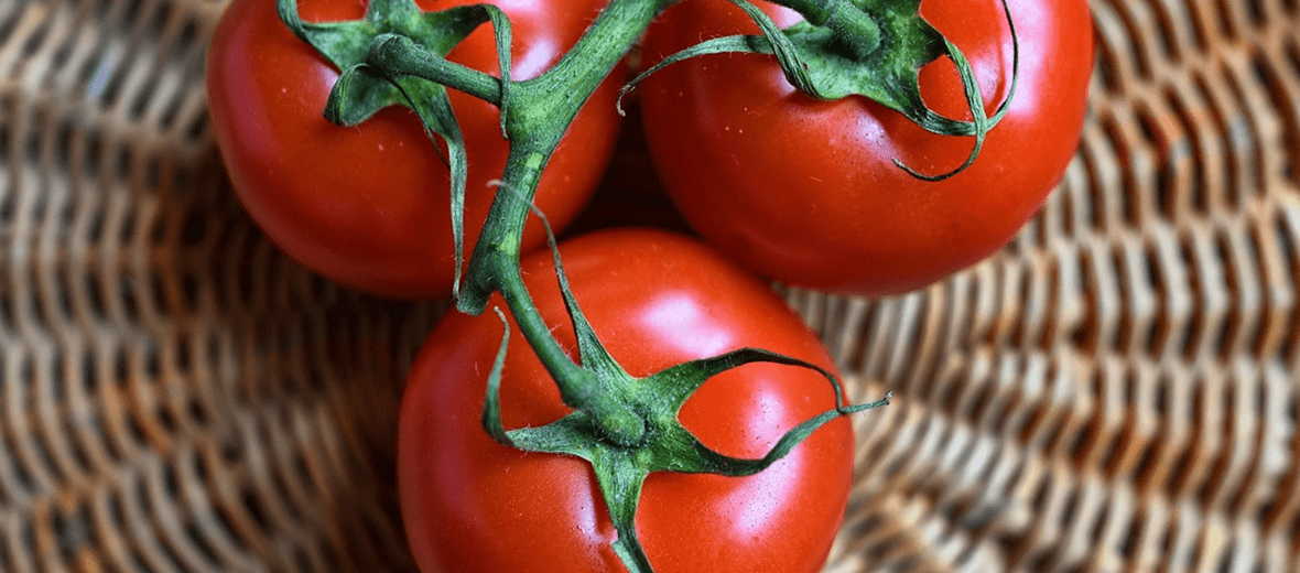 폐렴에 좋은 음식과 관련 있는 사진 - 10