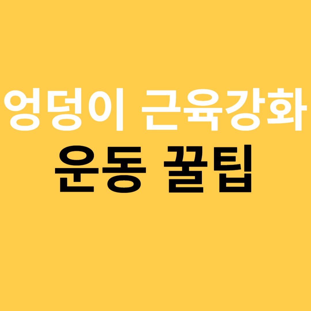 엉덩이 근육강화 운동 꿀팁