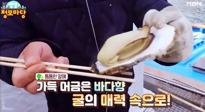 현장치GO 굴삼합 굴무침 생굴 굴전 굴솥밥 개체굴 양식 전국 택배 전화 주문 통영 맛집 추천