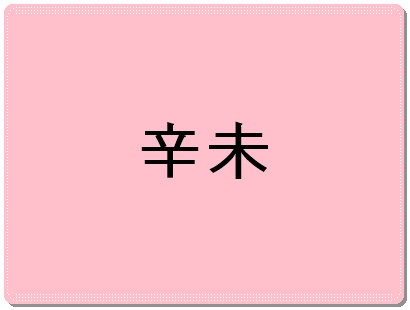 신미일주
