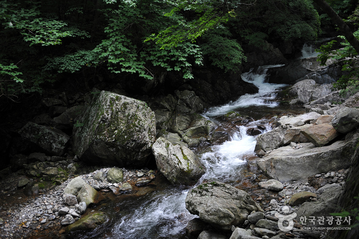 무주 가볼만한곳 베스트10