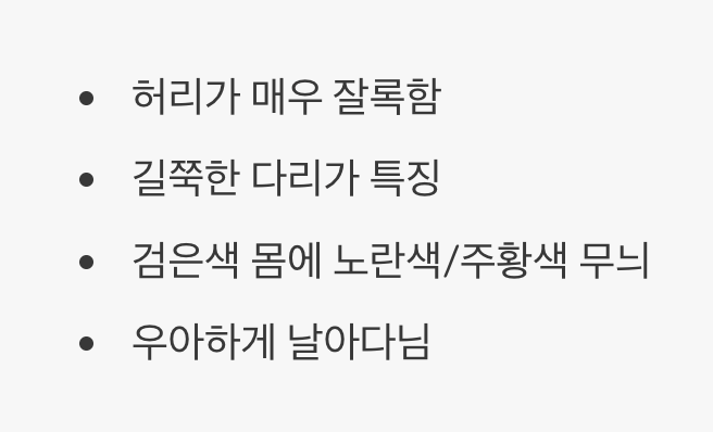 1. 잘록한 허리, 길쭉한 다리의 패셔니스타