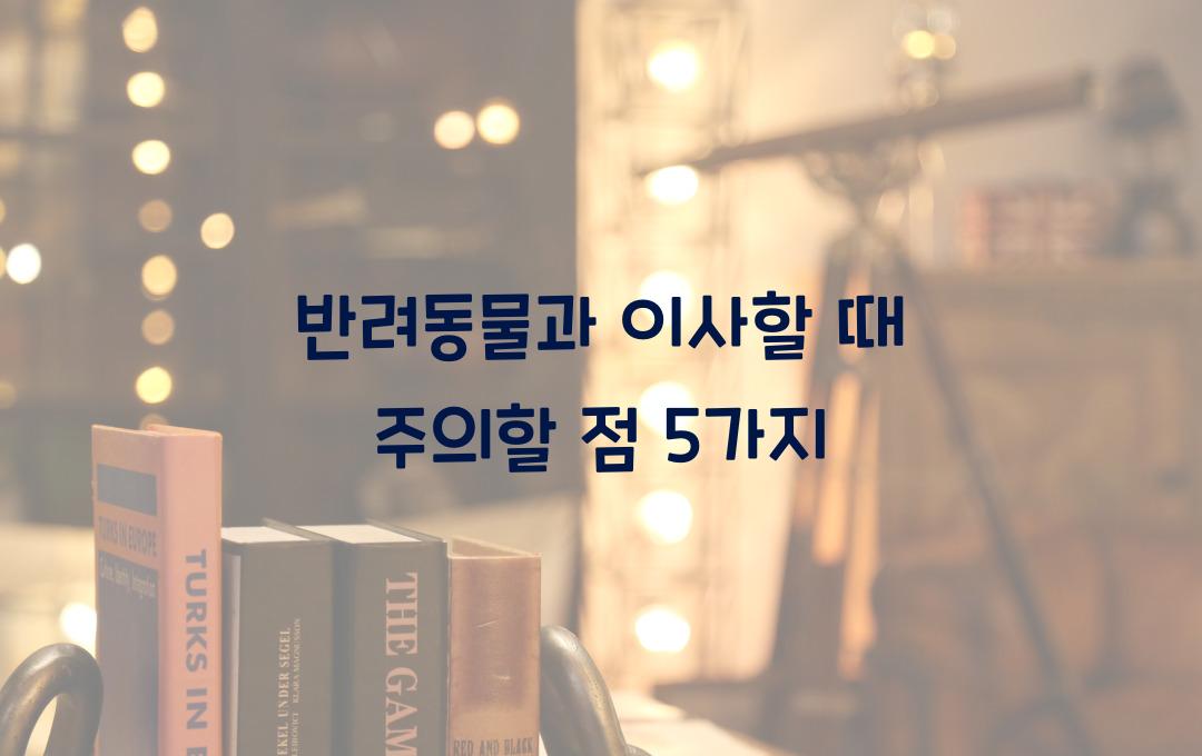 반려동물과 이사할 때 주의할 점