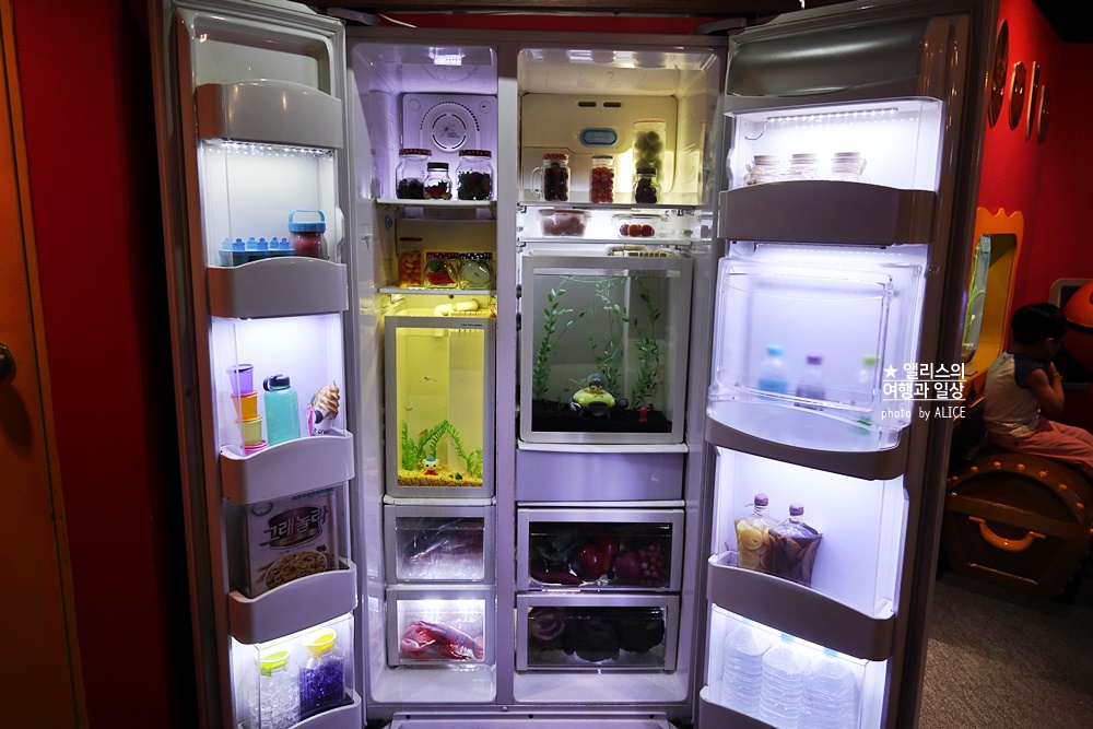 코엑스 아쿠아리움 입장권 할인예약 방법, 대중교통 가는 방법, 참물범 펭귄 비버 상어 보러가자!