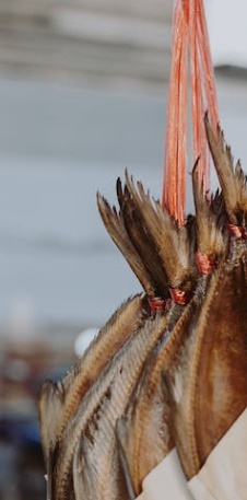 과메기 맛있게 먹는법