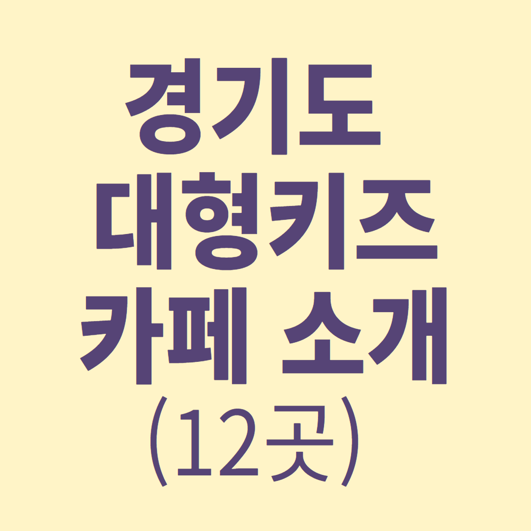 경기도대형키즈카페