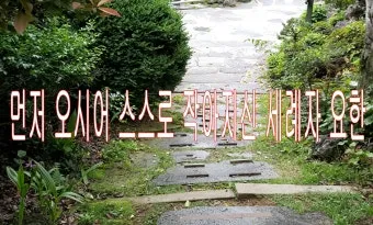 6월 24일 세례자 성 요한 탄생 대축일의 특별함_18