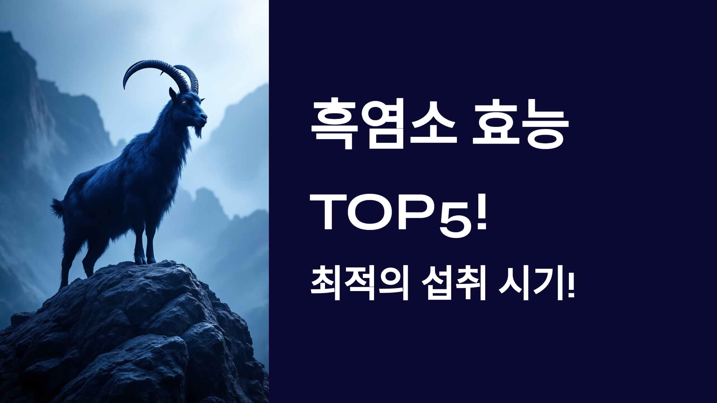 흑염소 효능 TOP5, 최적의 섭취 시기 PPT 이미지
