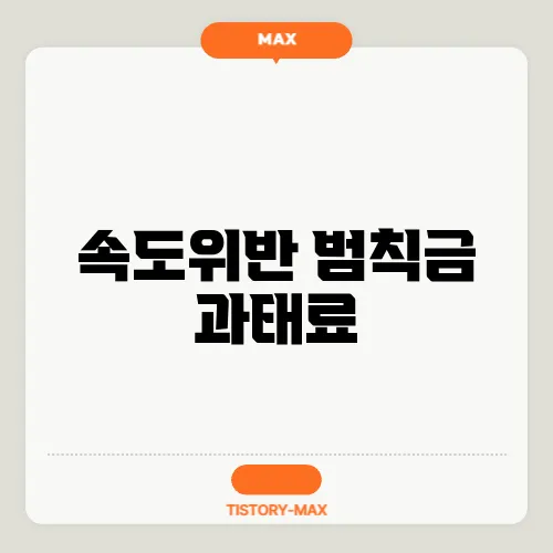 속도위반 범칙금 과태료