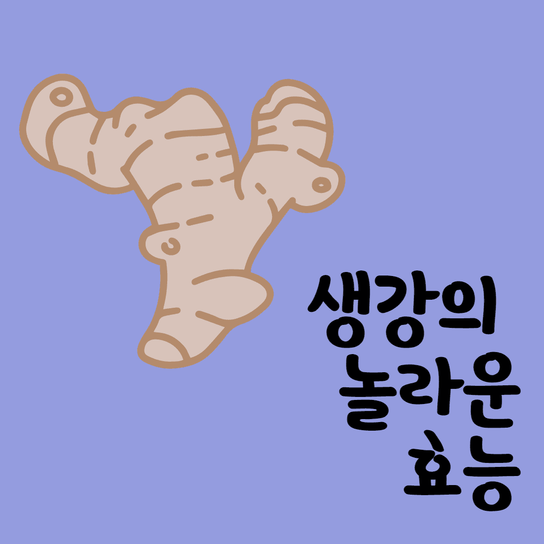 생강의 효능