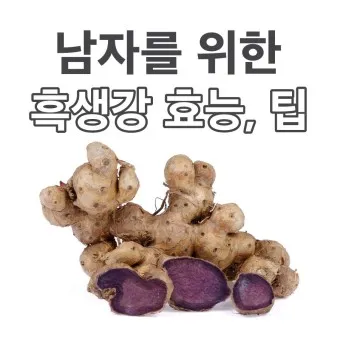 흑생강 효능 슈퍼푸드 칼로리 권장량_11