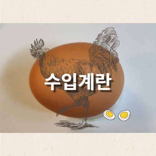 스페인산 계란과 비교하기 위한 글의 썸네일