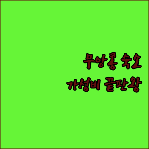 2025년 신축부터 가성비 끝판왕까지..