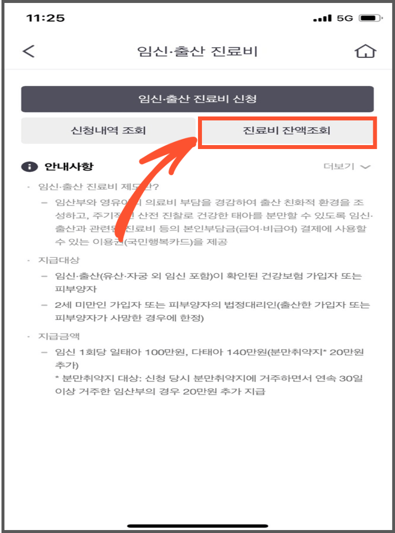 국민건강보험공단 잔액조회
